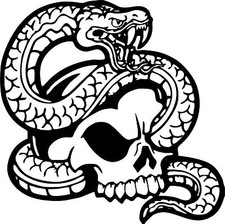 Skull Skeleton Head Snake Car Boat Truck Laptop Window Vinyl Decal Sticker