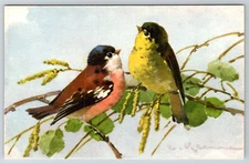 c1960s Birds Postcard Printed in Switzerland No.123 Chrome