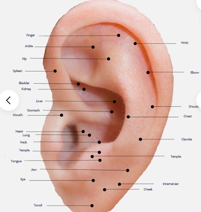 24k Gold Acupressure Ear Seeds, refill pack of 20. eBay