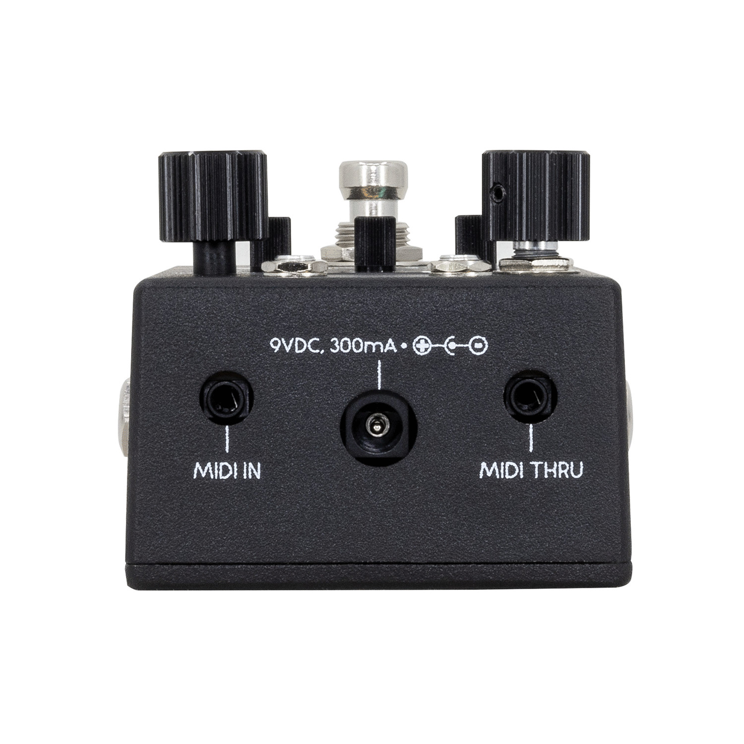 Walrus Audio Canvas Rehearsal Guitar Headphone Amp Pedal - Open Box