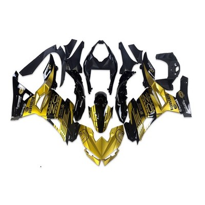 FSG Injection Black Gold Fairings Fit for Kawasaki 2024-2026 Ninja 500 z072