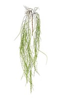 Artplants Deko Zweig Senecio Lisanda, HäNgend, GrüN, 150Cm