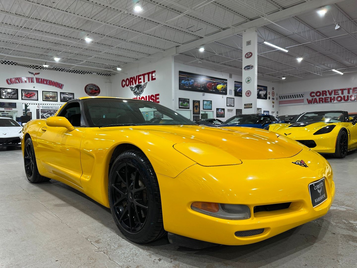 2004 [79U] Millennium Yellow Chevrolet Corvette   | C5 Corvette Photo 6