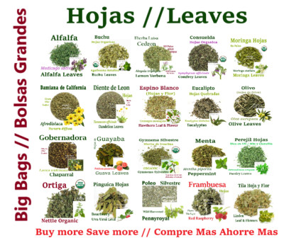 Hojas Alfalfa Consuelda Damiana Espino Blanco Olivo Ortiga Pinguica Gymnema Tila