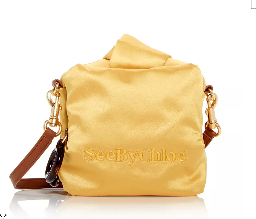 See by Chloe Tilly Small Satin Crossbody Camera Shoulder Bag Purse