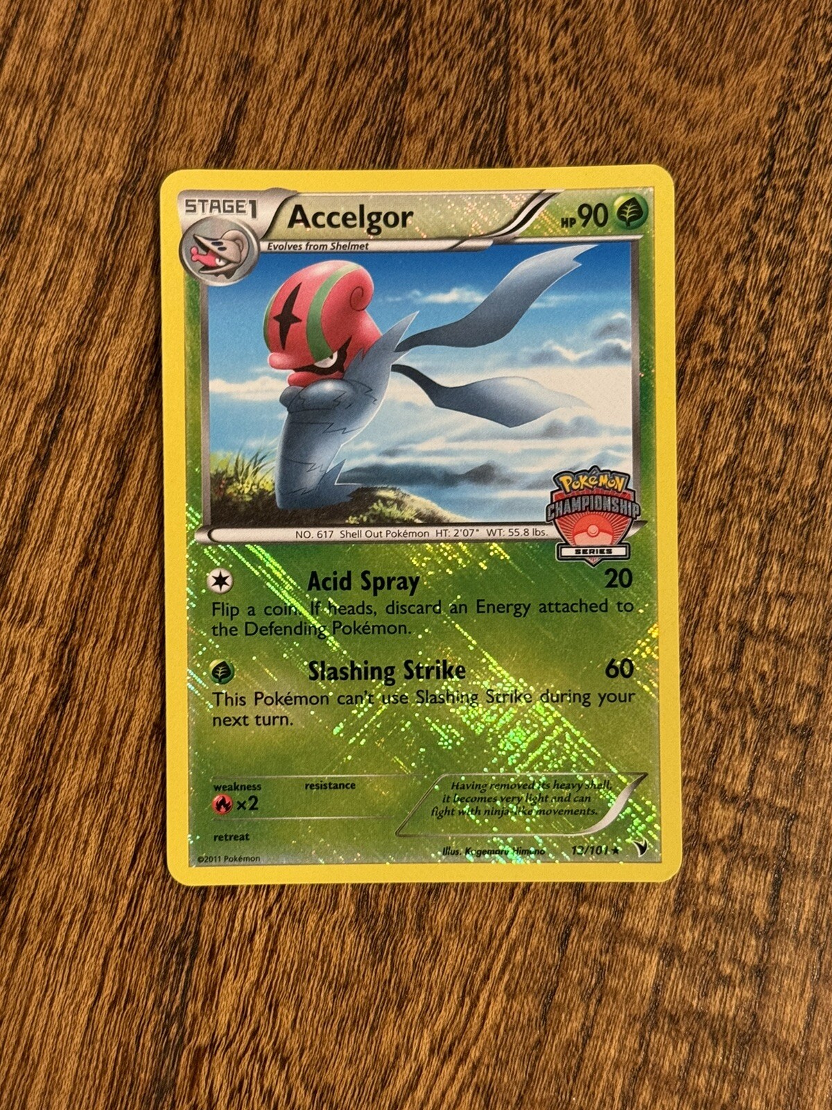Accelgor, 12/101, NM, Championship Series Crosshatch R-Holo Pokemon TCG Cards