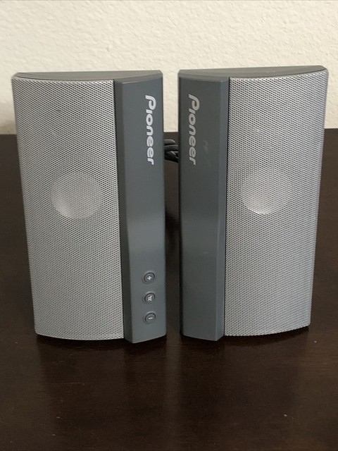 pioneer computer speakers