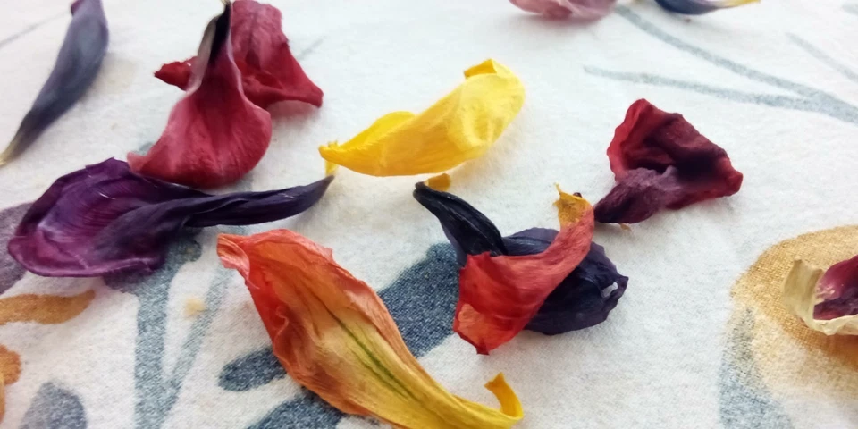 Tulip Petals.    TULIP PETALS ONLY .  Bath Petals  - Image 3 of 4