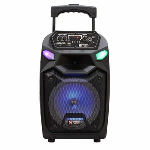 portable trolley speaker with microphone