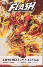 The Flash by Danny Bilson: Used