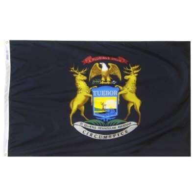 Michigan Annin Flagmakers State Nylon Flag Indoor Outdoor All Sizes