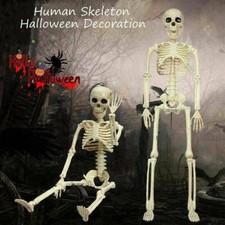 40cm Size Life Size Human Skeleton Model Horror Bone Posable Halloween Decor Hot