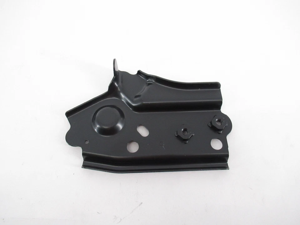 Extensión delantal guardabarros delantero pasajero genuino OEM Toyota Lexus 53813-0R030 Foto 3 de 3