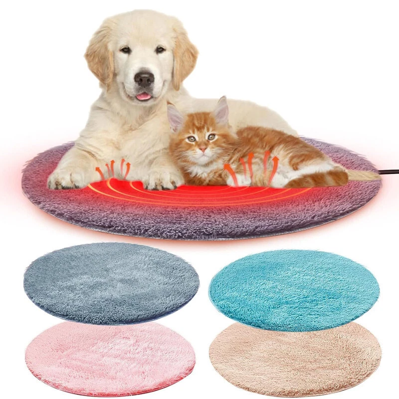 Electric hotsell dog blanket