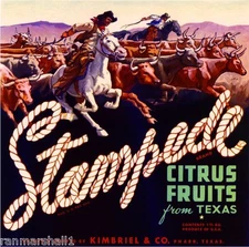Pharr Texas Stampede Cowboy Orange Citrus Fruit Crate Box Label Art Print