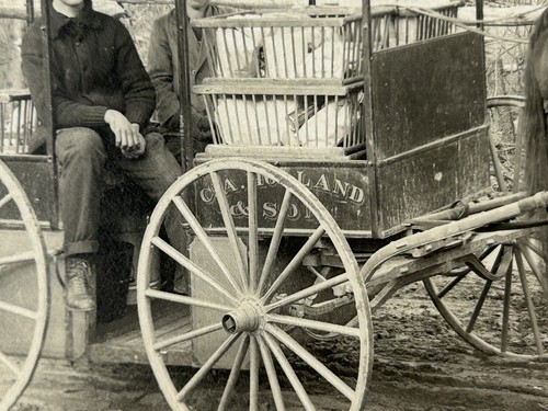 RPPC C.A. Holland And Son Grocery Horse Delivery Wagon Boys Photo Postcard - Picture 3 of 5