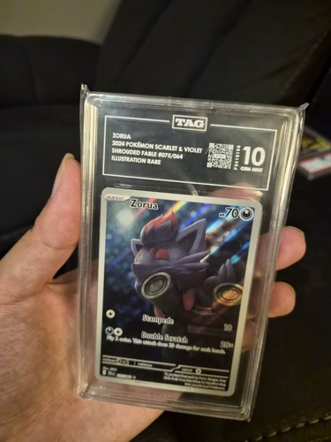 Zorua graded TAG 10 for sale on eBay