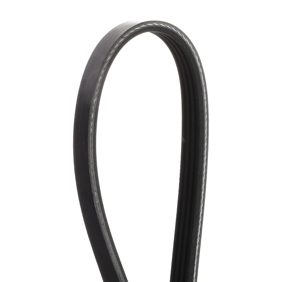 Conjunto de correa serpentina Ford Transit 2020-2025 OEM NUEVO-LK4Z-8620-AA Foto 3 de 4