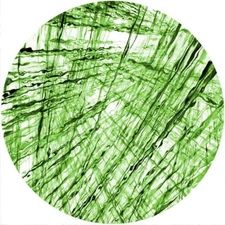 Slipmat Slip Mat Felt for any 12" Turntable LP DJ Vinyl Record Player FRACTAL 15