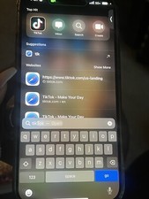 iPhone 15 Pro Max 1T With TikTok App