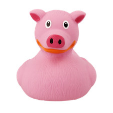 Pig Rubber Duck