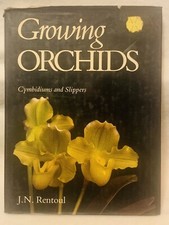 Growing Orchids. Cymbidium And Slippers Rentoul