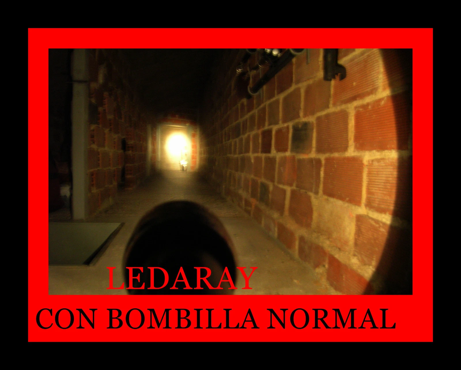 Imagen 9 de 9