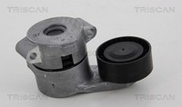 Triscan Riemenspanner, Keilrippenriemen U.A. FüR CitroËN, Fiat, Ford, Peugeot