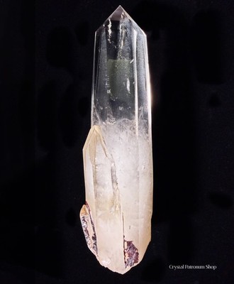 1.8LB Natural Clear & White Quartz Crystal Point on Wooden Base | Crystal Gift