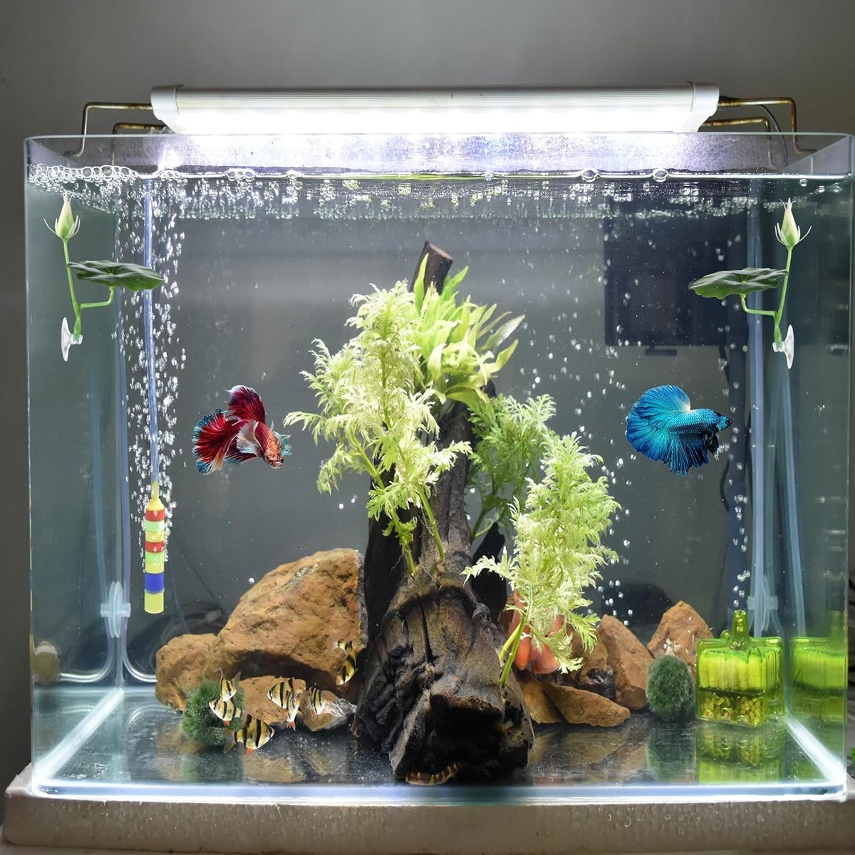 beta fish accessories 3 Pcs Betta Fish Bed Leaf Hammock Suction Cup Tank Decor 3 X Green