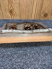 Picture 5 of 8