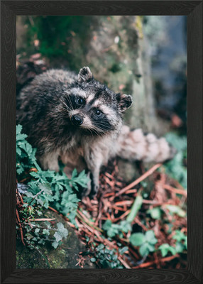 Cute little creature Framed Wall Art Poster Canvas Print Picture