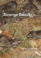 David Cycleback | Strange Beauty | Taschenbuch | Englisch (2014) | [.]