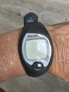 Polar Pulsuhr FS 3C Sportuhr voll funktionsfähig