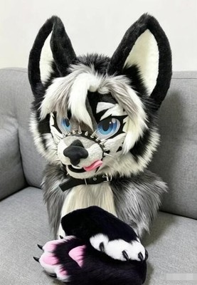 Fursuit Long haired Dog Fox Mascot Party Halloween Fur Cosplay(head+claws)