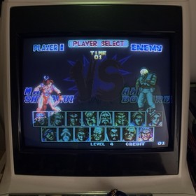 Neo Geo MVS  FATAL FURY SPECIAL SNK game ORIGINAL Cartridge NeoGeo