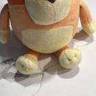 Foto 2 di 14