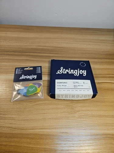 Stringjoy Signatures 8 String Heavy Bottom Heavy Gauge 12/90 Nickel Wound /Picks
