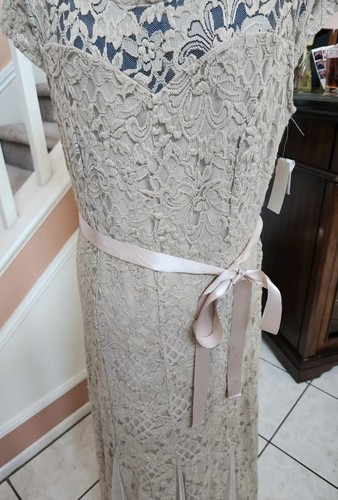 NWT CANDALITE Beige Metallic Lace Tulle Trim Cap Sleeve Long Party Dress Sz 1X - Picture 6 of 14