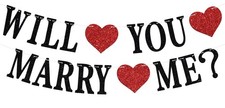 Will You Marry Me Banner Bridal Shower Party Decorations Party Decoration