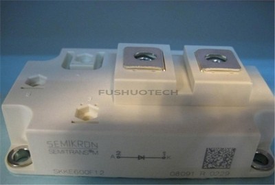   Igbt Power Module SKKE600F12 nn #qm