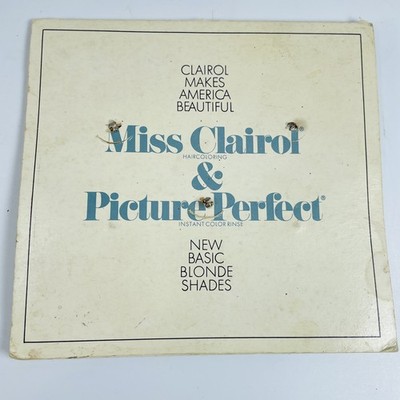 Vtg 1968 Miss Clairol Picture Perfect Hair Color Blonde Shade Chart Beauty Shop