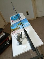 spinning fishing rod Zebco Aventure 5'6" Med 2-6lb And Reel Quantum SS