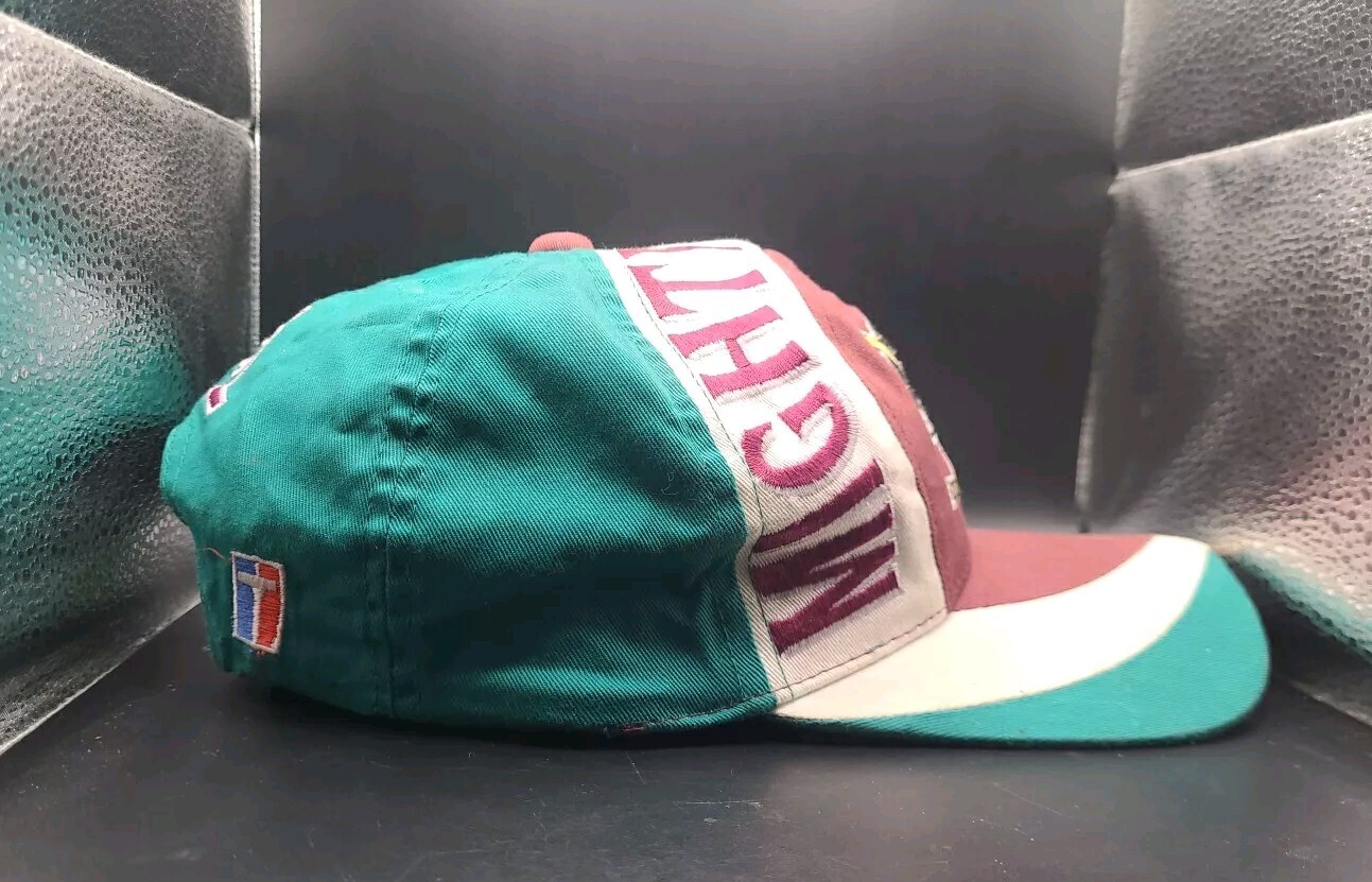 Picture 6 of 16