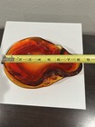 Foto 11 di 14
