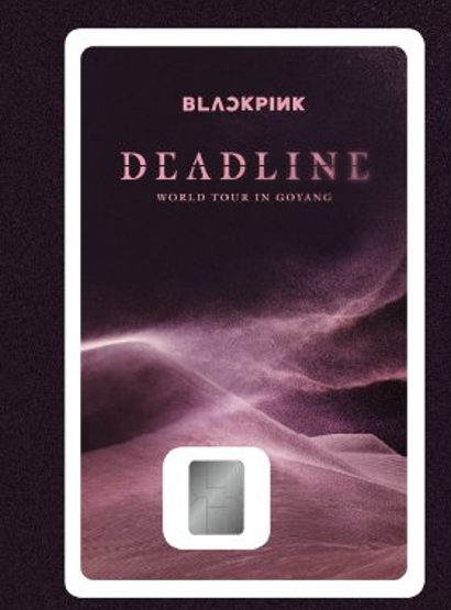 BLACKPINK DEADLINE フォトカード BLACKPINK WORLD TOUR [DEADLINE IN GOYANG] NAMANE PHOTOCARD