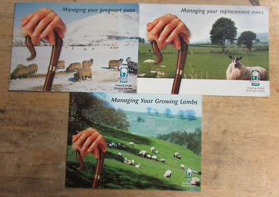 3 INTERVET KEEPING SHEEP FARMING HEALTHY  ** PAPERBACK