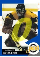 AHL BALTIMORE SKIPJACKS HOCKEY FUN CARDS (PICK FROM LIST)