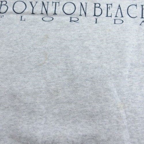 XL Vintage Hanes Langarm Sweat Herren 00s Boynton Beach Florida gebraucht SSYR-0 - Bild 5 von 7