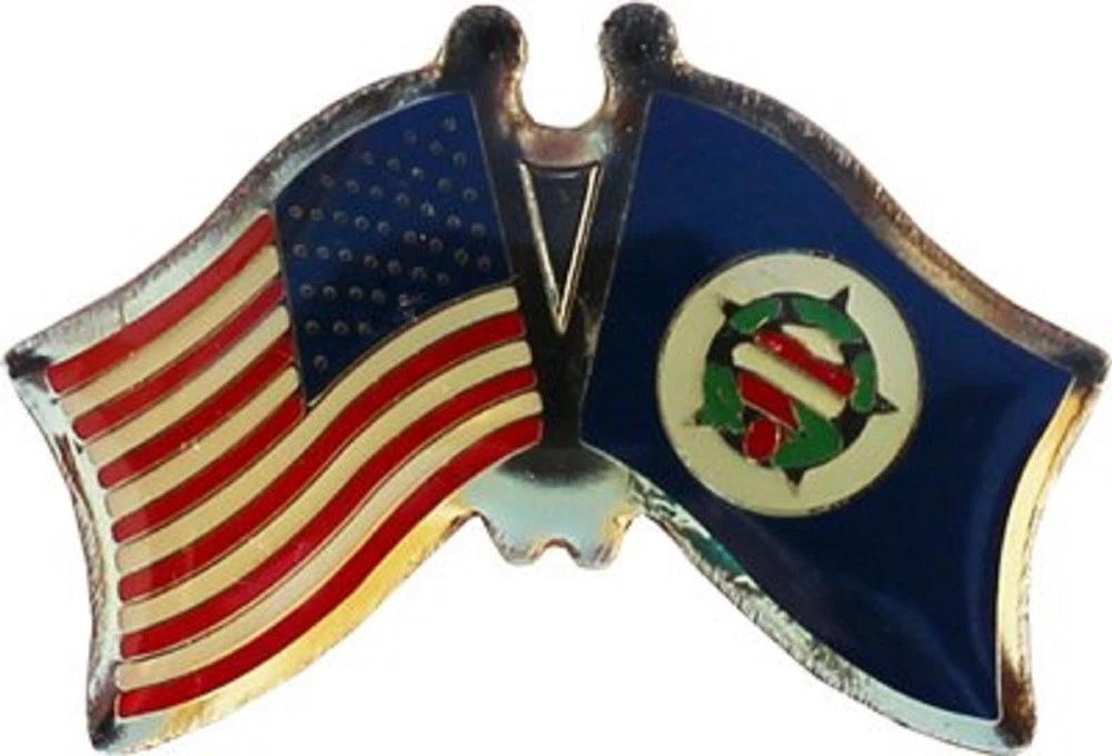 Wholesale Pack of 50 USA American Minnesota Friendship Flag Hat Cap lapel Pin